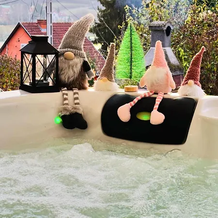 Gæstehus Hortenzia Vendeghaz *